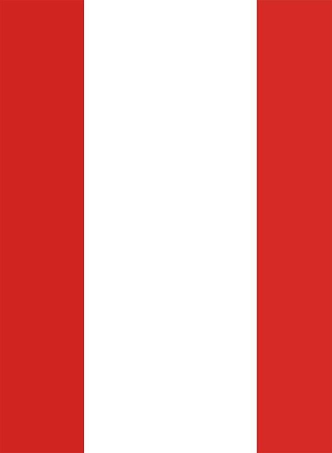 LLBFHH USA And Peru Flag Graduation Stole, Satin Embroidery Graduation Sash for International Students, 72 Inch Length. - Image 3